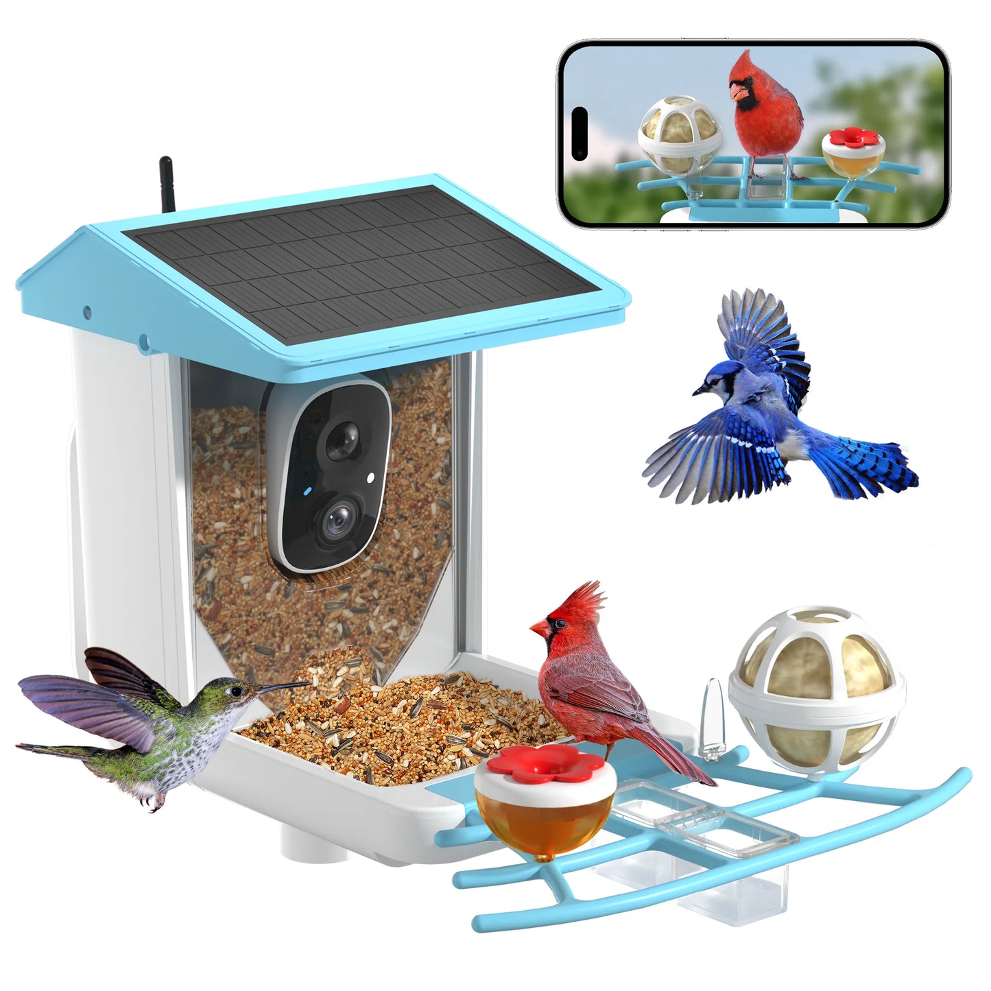 Outdoor Smart Bird Watching Camera With Solar Panel,