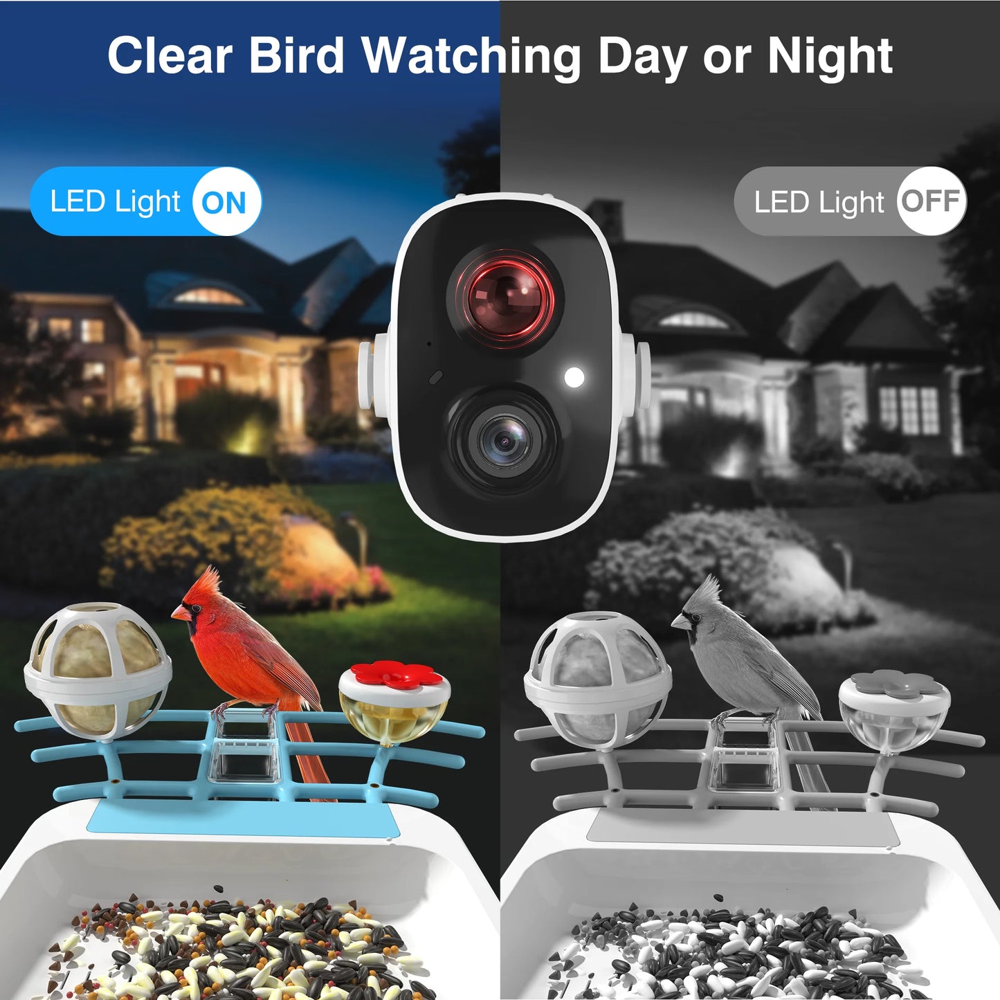 Outdoor Smart Bird Watching Camera With Solar Panel,