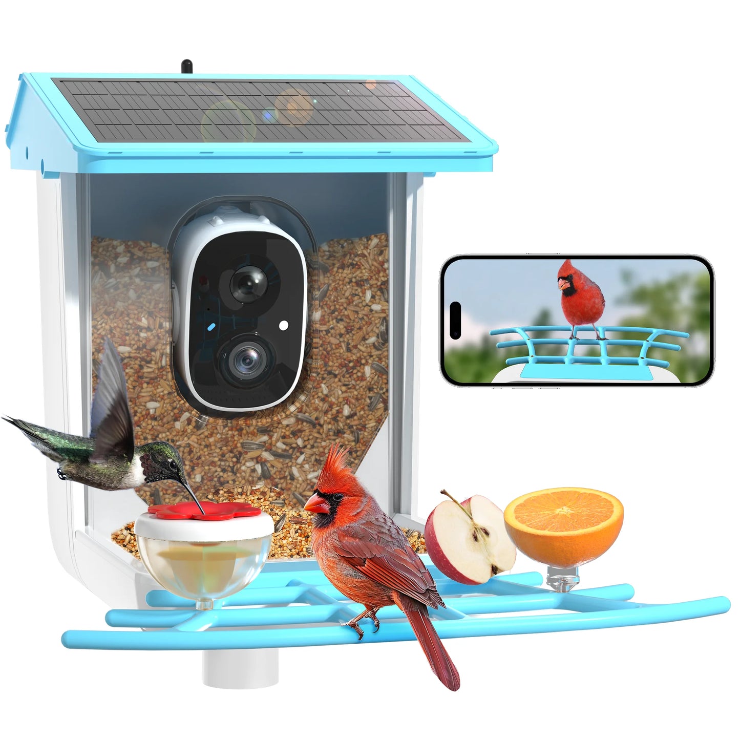 Outdoor Smart Bird Watching Camera With Solar Panel,