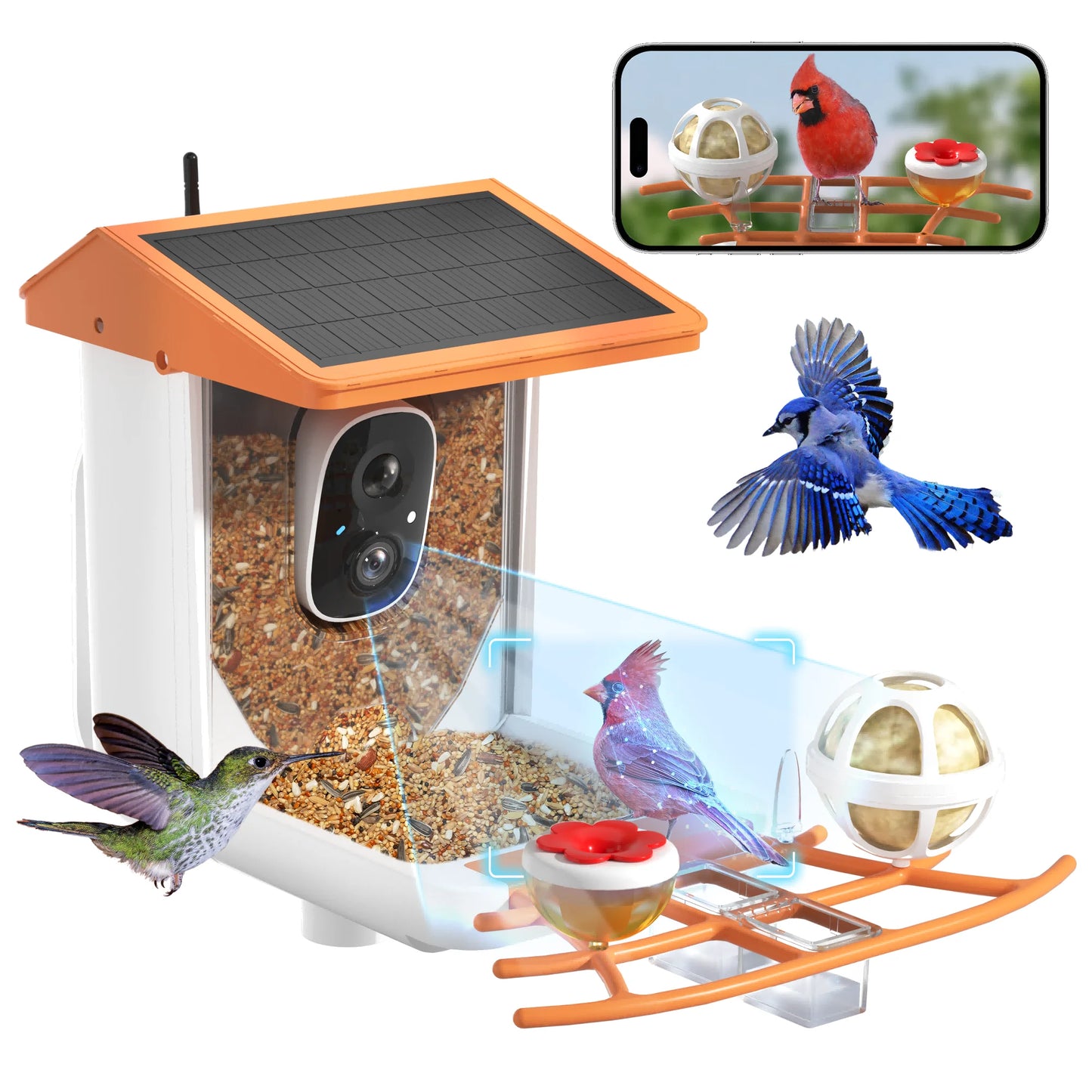 Outdoor Smart Bird Watching Camera With Solar Panel,