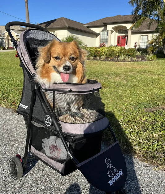 Escort 3 Wheel Dog Cat Pet Stroller for Small/Medium Dogs Cats Best Lightweight Foldable Portable Compact Jogger All Terrain