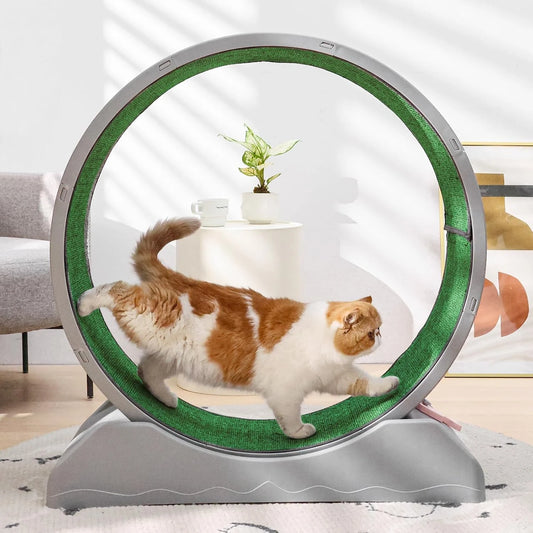 Cat Exercise Wheel,Cat Treadmill for Indoor easy to Install & Fitness