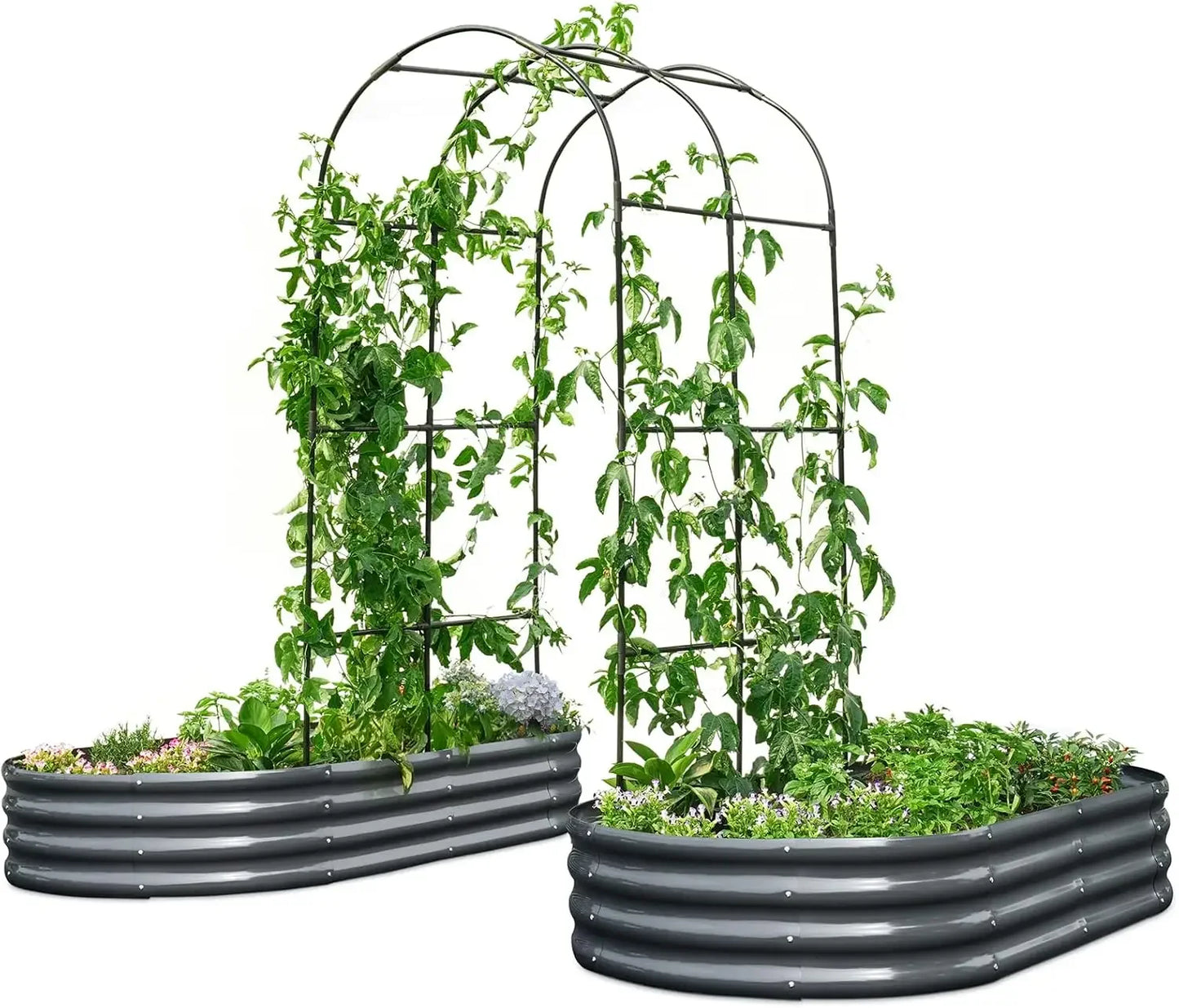 KING BIRD Raised Garden Bed with Arched Trellis